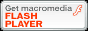 FLASH�v���[���[�_�E�����[�h